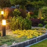 Smart Choices for Landscape Lighting That Lasts