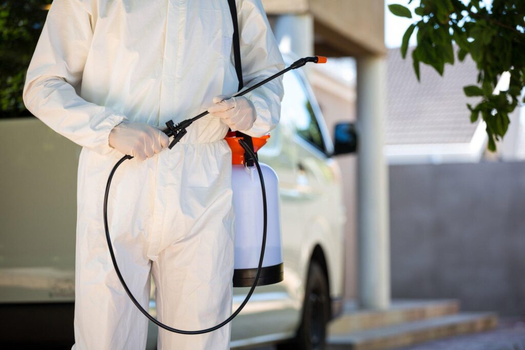How to Build an Effective Pest Prevention Strategy for Your Home
