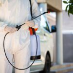 How to Build an Effective Pest Prevention Strategy for Your Home