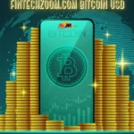 FintechZoom.com Bitcoin USD Explained: Reliable BTC Data or Just Hype?