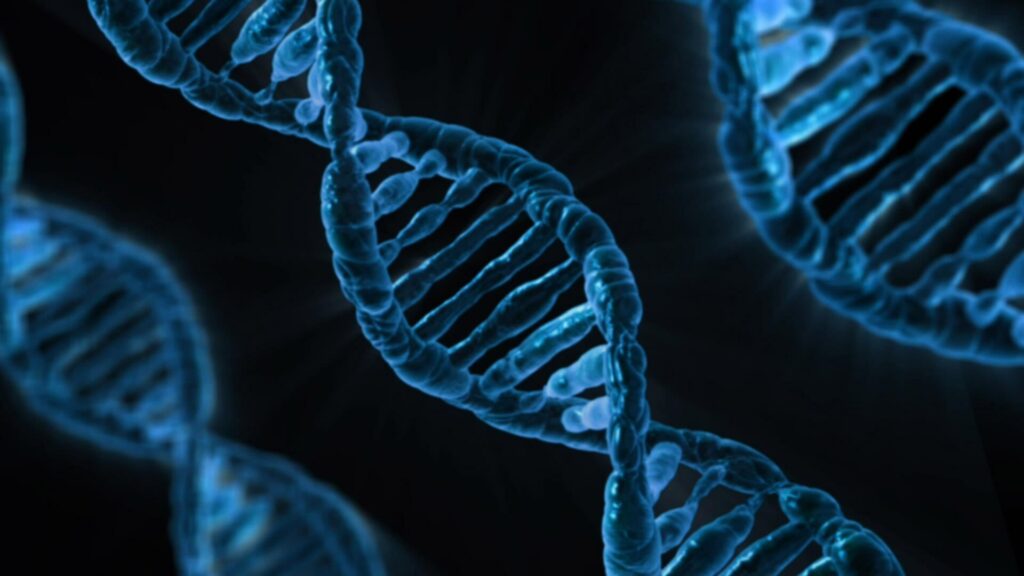 Ensuring Legal Compliance in Family Genetic Testing