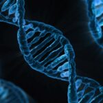 Ensuring Legal Compliance in Family Genetic Testing