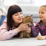 Responsible Pet Ownership: A First-Time Cat Parent Guide