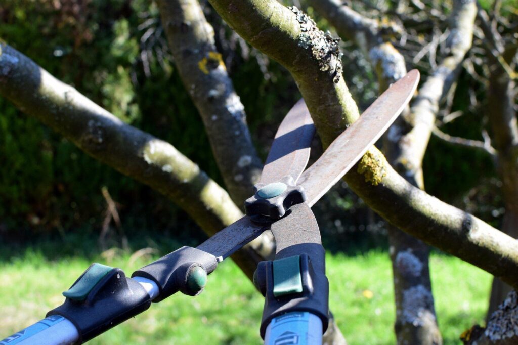 Combining Offline and Online Channels to Attract Tree Work Leads