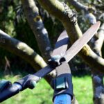 Combining Offline and Online Channels to Attract Tree Work Leads