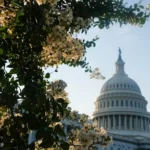 Capitol Hill Real Estate Heats Up: 3 Things Buyers Must Know This Season