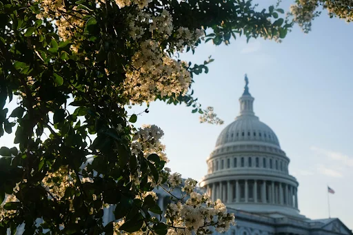 Capitol Hill