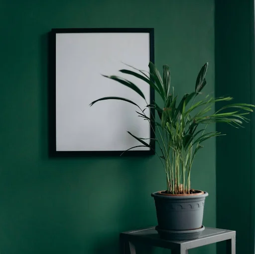 Picture Framing