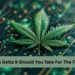 How Much Delta 9 Should You Take For The First Time?