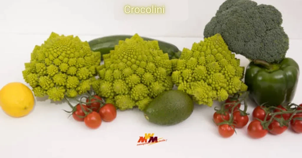 Crocolini: Unlocking Culinary Creativity and Health in Every Bite
