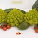 Crocolini: Unlocking Culinary Creativity and Health in Every Bite