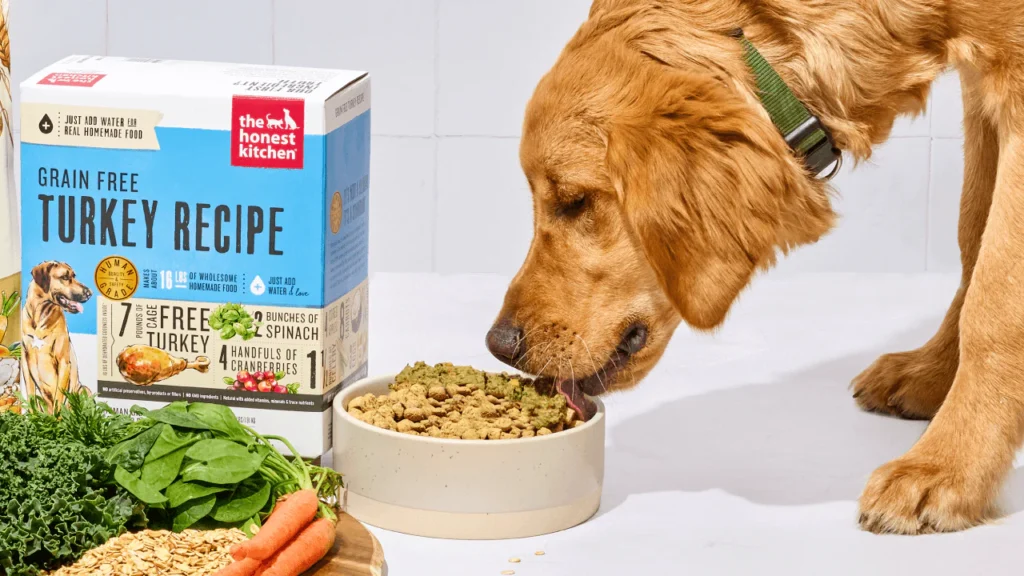 How to Safely Add Probiotics to Your Dog’s Daily Meals