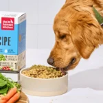 How to Safely Add Probiotics to Your Dog’s Daily Meals