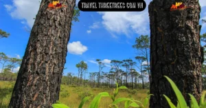 travel threetrees com vn