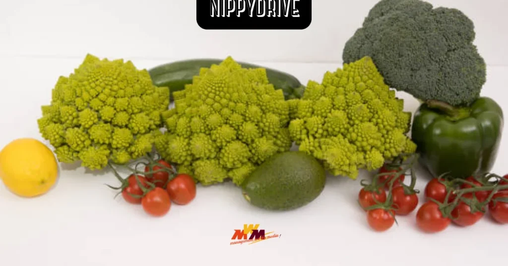 Crocolini: Unlocking Culinary Creativity and Health in Every Bite