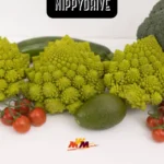 Crocolini: Unlocking Culinary Creativity and Health in Every Bite