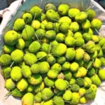 Everything You Need to Know About this food byadi