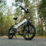 Why Choose the Pinecone Electric Foldable eBike?