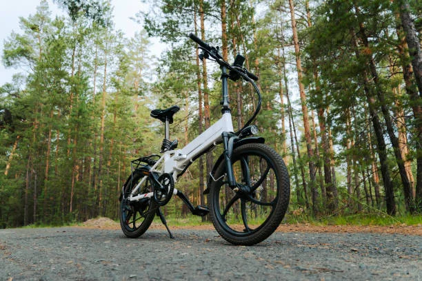 Pinecone electric foldable eBike