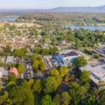 Effective Pest Control in Nowra: Affordable Solutions for a Pest-Free Home