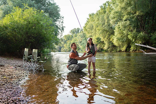Essential Camping Gear