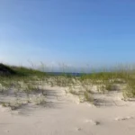 How Spontaneous Adventures Often Lead to the Best Finds