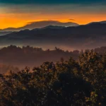 Why Tennessee BBQ Is More Than Food: The Culture, Community, and History Behind It