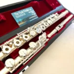 Common Mistakes to Avoid When Purchasing a Professional Flute Online