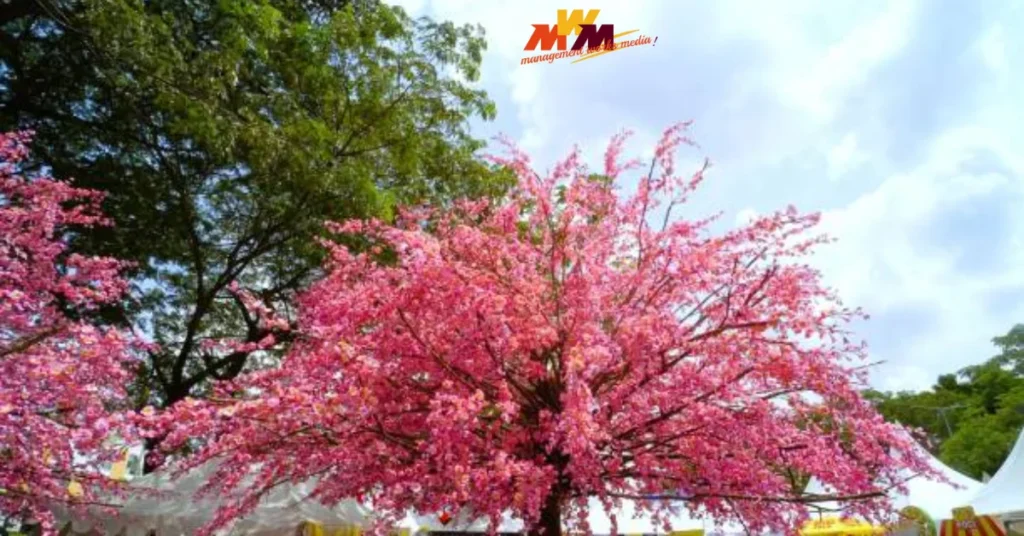 ракитовица