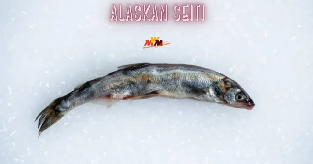 alaskan seiti
