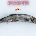Alaskan Seiti: Mild, Flaky, and Packed with Health Benefits