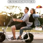 Eschopper: The Future of City Travel Through Sustainable Electric Rides
