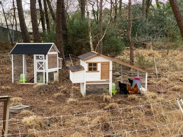 Flock’s Living Space