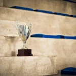 Best Trophy Stores in Chicago, IL