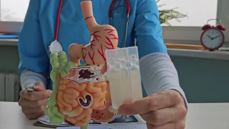 Understanding the Importance of a Reliable SIBO Test for Digestive Health