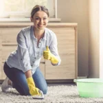 Top Carpet Cleaning Tips to Keep Your Home Fresh and Spotless