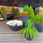 Transform Your Garden with Large Outdoor Pots and Planters