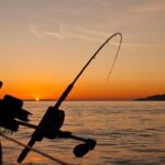 The Role of Guided Fishing Tours in Enhancing Fishing Skills