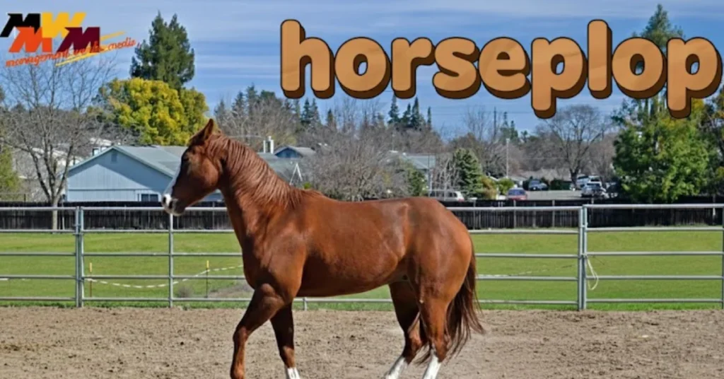 Horseplop: From Breeding to Training – All Things Horses in One Place