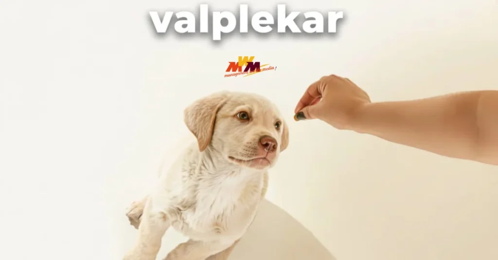 valplekar