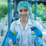 Why Medical Cannabis Dispensaries in Florida Are the Best Choice for Vape Purchases