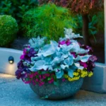 Transform Your Outdoor Spaces with Stunning Exposed Aggregate in Perth WA