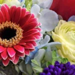 Best Seasonal Flower Options Paired With Fresh Deals For All Occasions