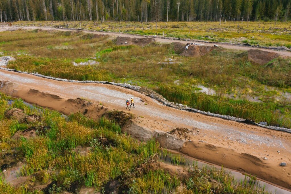 Expert Environmental Guidance for Smarter Project Decisions