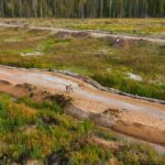 Expert Environmental Guidance for Smarter Project Decisions