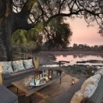Tailormade Africa – 1200 Word Blog – Dec 2025 – Tailormade’s 14-Day Zimbabwe Safari: The Ultimate African Holiday – FOR APPROVAL