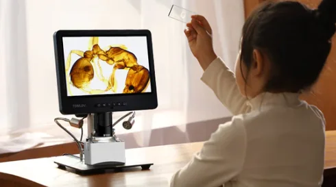 What Kids Microscope Should I Buy for My Child?