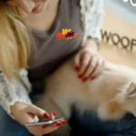 Woofapps: Revolutionizing Pet Care Through Smart Mobile Solutions