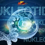 Nukleotidy: Unlocking the Secrets of DNA, RNA, and Cellular Machinery