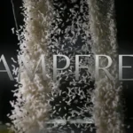 Dampfreis: Exploring Steam Technology in Sustainable Rice Processing